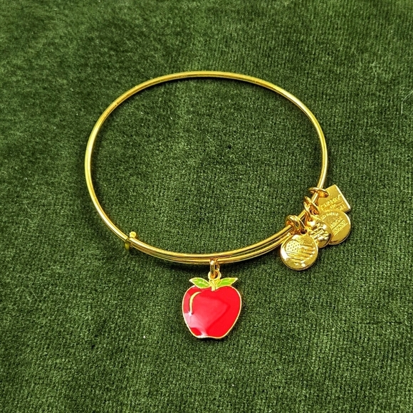 Alex and Ani Jewelry - Alex And Ani Gold Tone Red Apple 2017  Charm Bracelet
